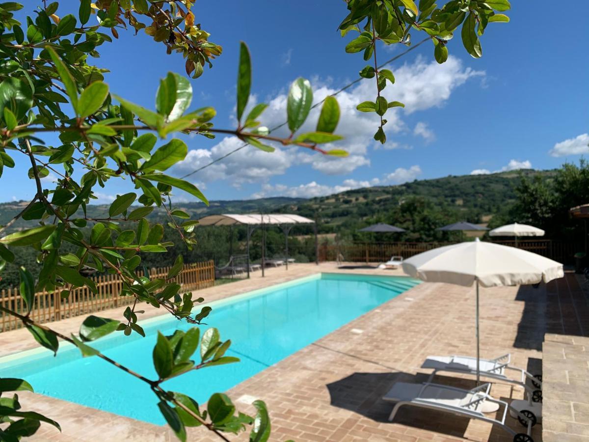 Agriturismo La Palazzetta Di Ασίζη Εξωτερικό φωτογραφία