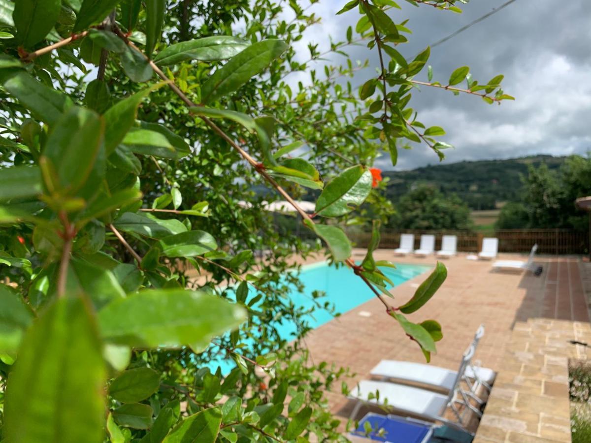 Agriturismo La Palazzetta Di Ασίζη Εξωτερικό φωτογραφία