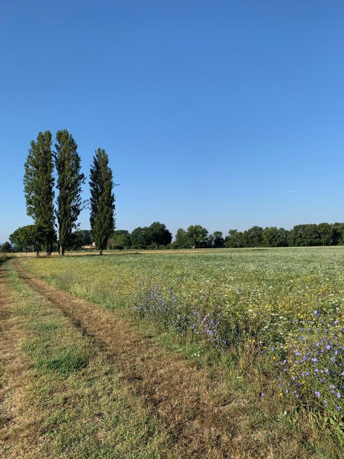 Agriturismo La Palazzetta Di Ασίζη Εξωτερικό φωτογραφία