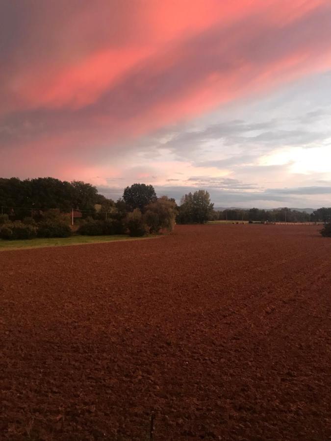 Agriturismo La Palazzetta Di Ασίζη Εξωτερικό φωτογραφία